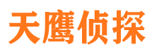 龙子湖侦探公司